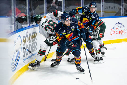 Djurgårdens Emil Berglund och David Blomgren