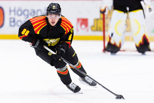 Brynäs Dmytro Timashov