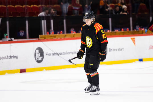 Brynäs Tom Hedberg deppar