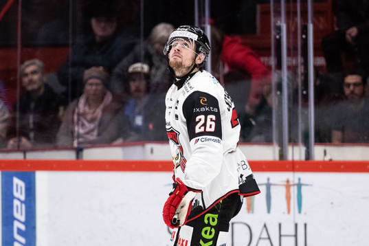 Malmö Redhawks Thomas Schemitsch deppar