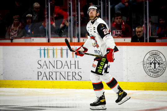 Malmö Redhawks Thomas Schemitsch deppar