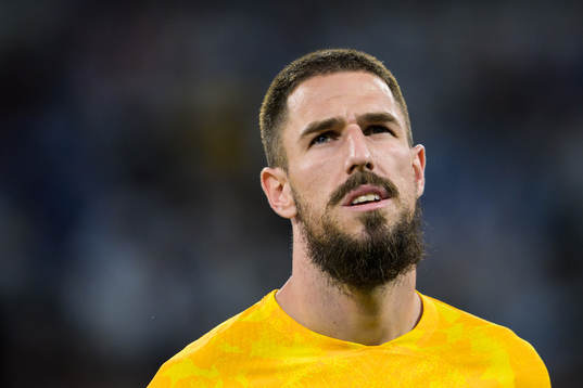 Milos Degenek of Australia