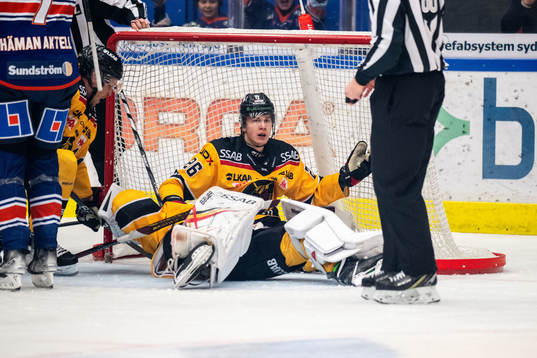 Luleås Radek Muzik deppar