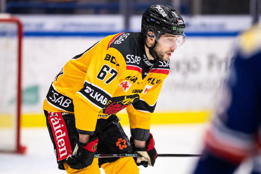 Luleås Konstantin Komarek deppar
