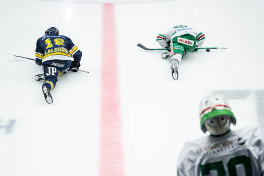 HV71s Joseph Laleggia och Rögles Adam Tambellini