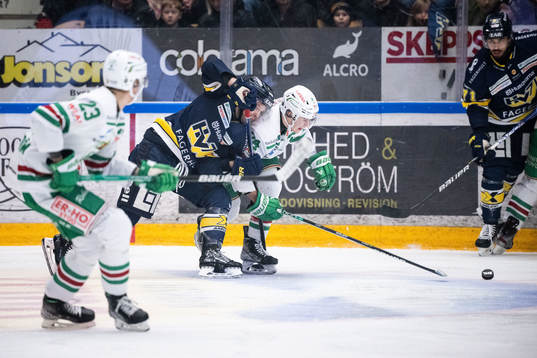 HV71s Chad Billins och Rögles Marco Kasper