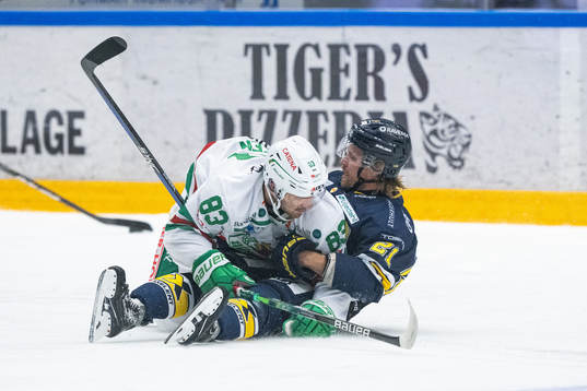 Rögles Riley Sheen och HV71s Mattias Tedenby