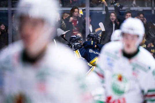 HV71s spelare jublar