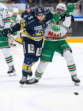 HV71s André Petersson och Rögles Samuel Jonsson