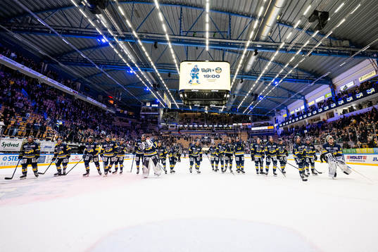 HV71s spelare jublar