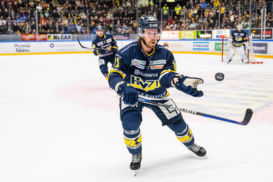 HV71s Mattias Tedenby