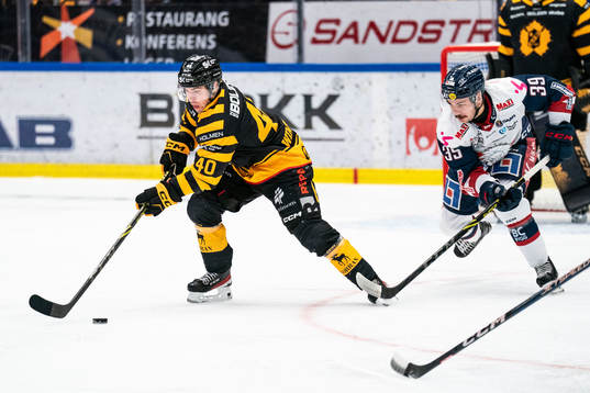 Bläddra bland fler bilder av Ishockey, SHL, Skellefteå - Linköping