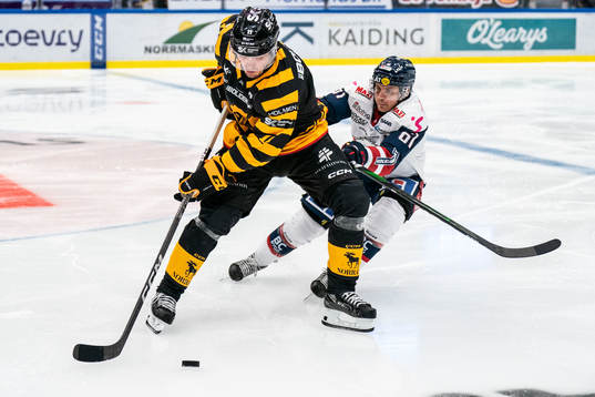 Skellefteås Max Lindholm och Linköpings Markus Ljungh
