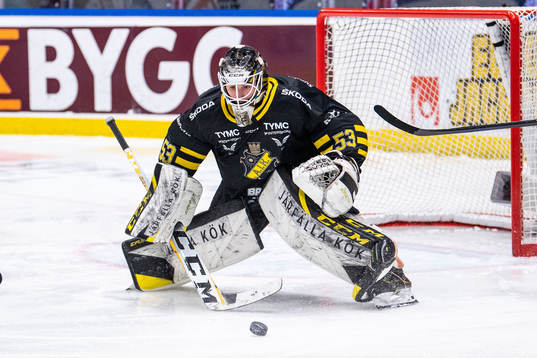 AIKs målvakt Claes Endre