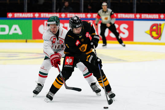 Frölundas Max Friberg och Skellefteås Axel Sandin-Pellikka