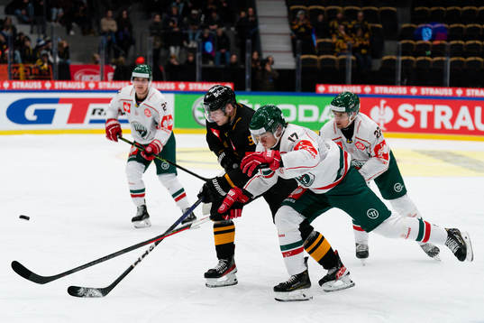 Skellefteås Anton Olsson och Frölundas Isac Born