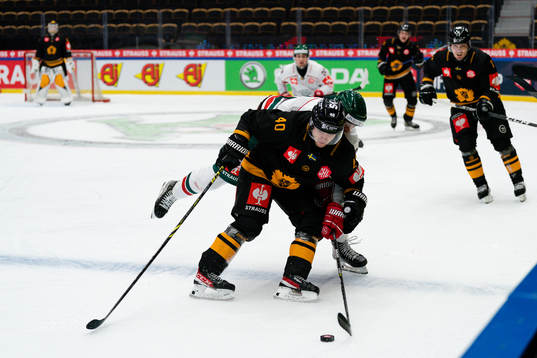 Skellefteås Andreas Wingerli