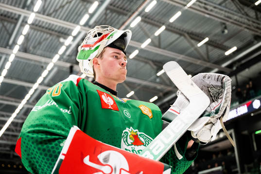 Goalkeeper Calle Clang of Rögle