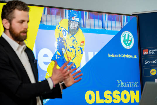 Ulf Lundberg, Förbundskapten dam