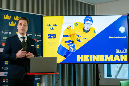 Sam Hallam, Förbundskapten herr