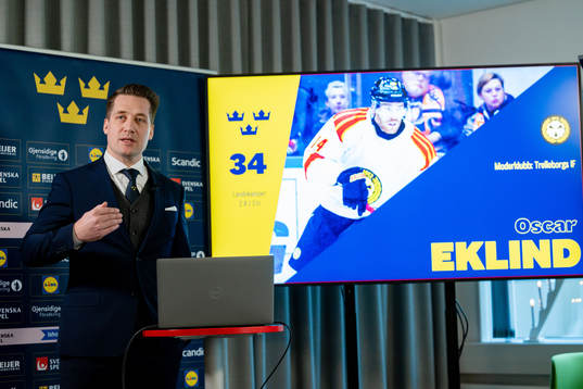 Sam Hallam, Förbundskapten herr