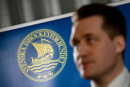 Sam Hallam, Förbundskapten herr