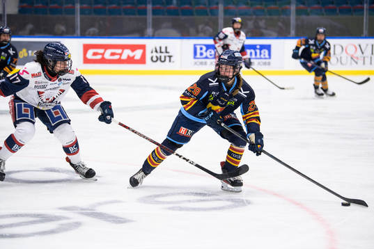 Bläddra bland fler bilder av Ishockey, SDHL, Djurgården - Linköping