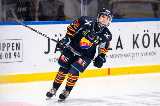 Djurgårdens Brette Pettet