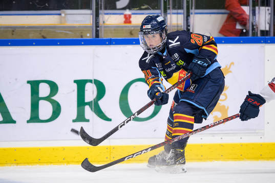 Djurgårdens Brette Pettet