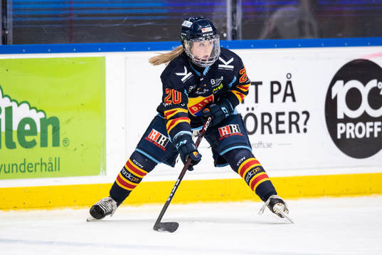 Djurgårdens Brette Pettet