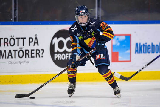 Djurgårdens Brette Pettet