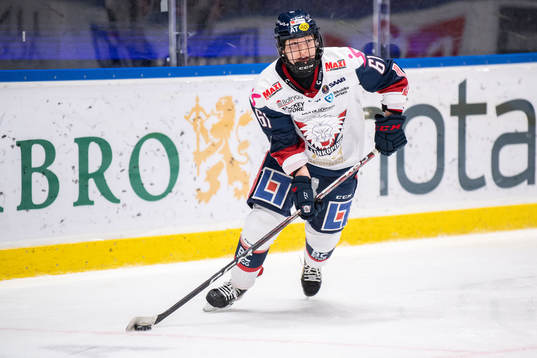 Linköpings Solveig Gisler