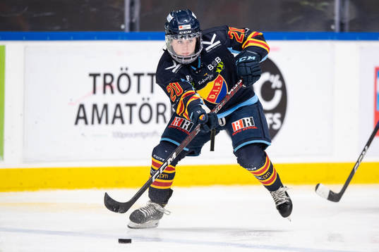 Djurgårdens Brette Pettet