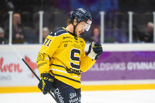 Södertäljes Renars Krastenbergs deppar
