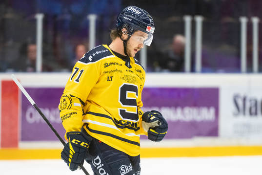 Södertäljes Renars Krastenbergs deppar