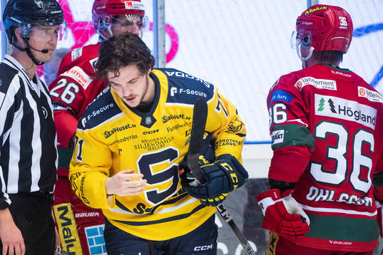 Södertäljes Renars Krastenbergs deppar