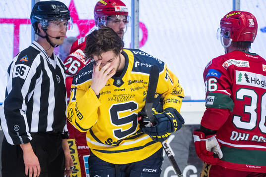 Södertäljes Renars Krastenbergs deppar