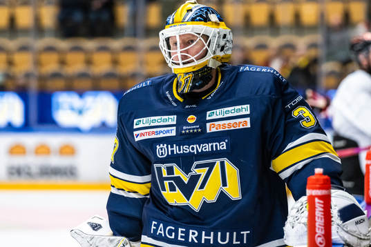 HV71s målvakt Jonas Gunnarsson