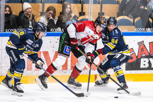 HV71s Joseph Laleggia och Eric Martinsson och Örebros Leo