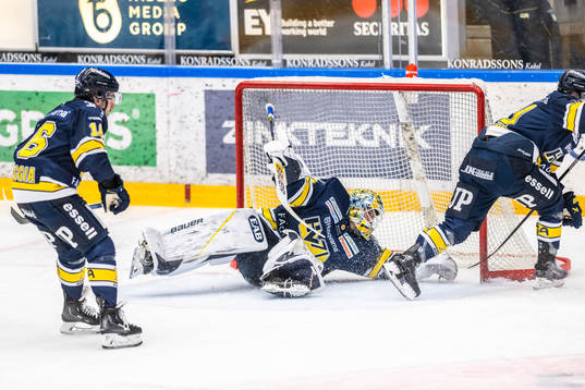 HV71s målvakt Joni Ortio