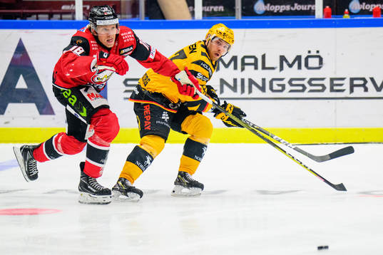 Malmö Redhawks Marcus Sylvegård och Skellefteås Filip