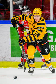 Skellefteås Albin Sundsvik och Malmö Redhawks Lance Bouma