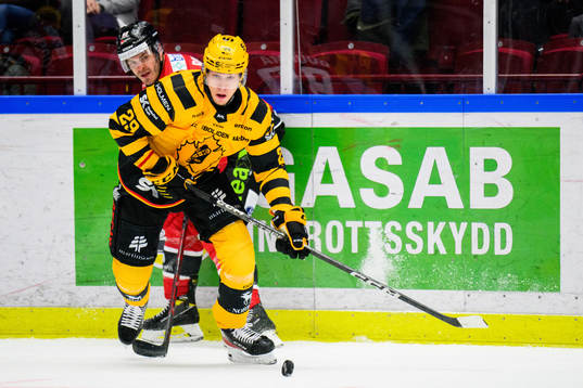 Skellefteås Albin Sundsvik och Malmö Redhawks Lance Bouma