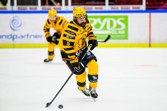 Skellefteås Axel Sandin-Pellikka
