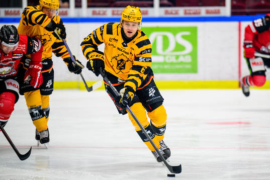 Skellefteås Måns Forsfjäll