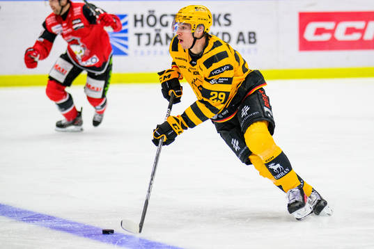 Skellefteås Albin Sundsvik