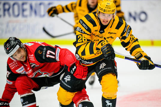 Malmö Redhawks Pathrik Westerholm och Skellefteås Simon