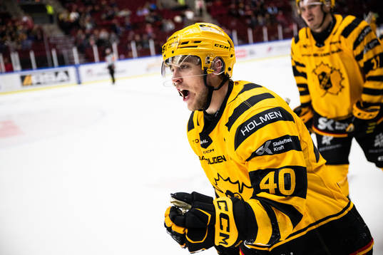 Skellefteås Andreas Wingerli jublar