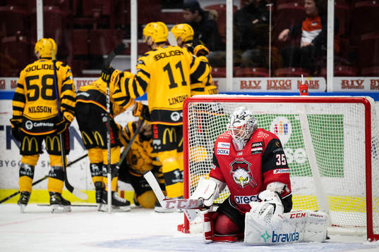 Malmö Redhawks målvakt Adam Werner deppar