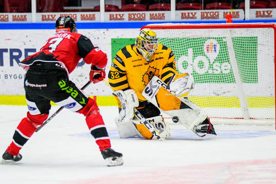 Malmö Redhawks Fredrik Händemark missar ett skott mot